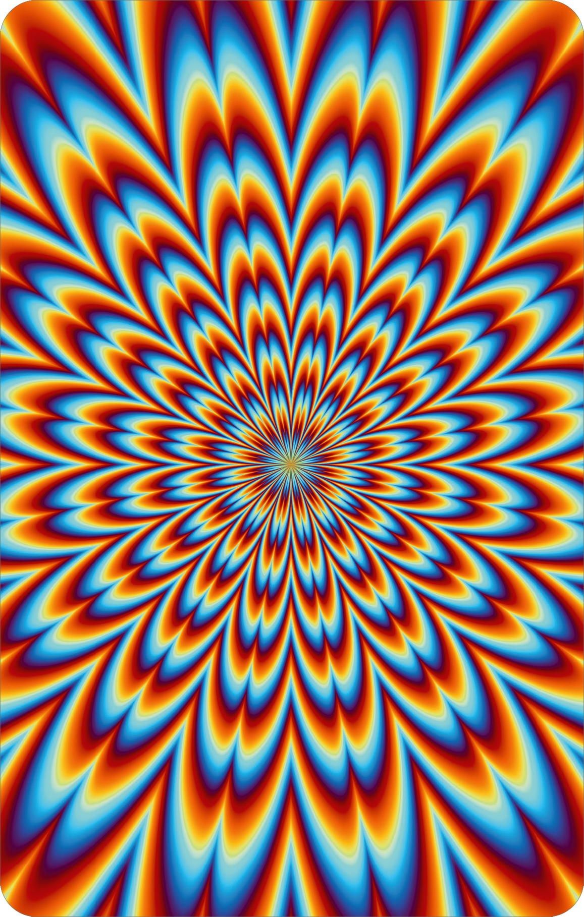 Gezeigt wird eine Innen- oder Zusatzansicht von „Science und Kids – Optische Täuschungen“. Die Grafik präsentiert ein dynamisches Muster, das aus schimmernden, spiralenähnlichen Formen in kräftigen Farben besteht. Es dominieren lebendige Blau- und Rottöne, die in einem hypnotischen Verlauf angeordnet sind. Die Typografie ist bold und modern, passend zu dem fesselnden und spielerischen Thema des Buches.