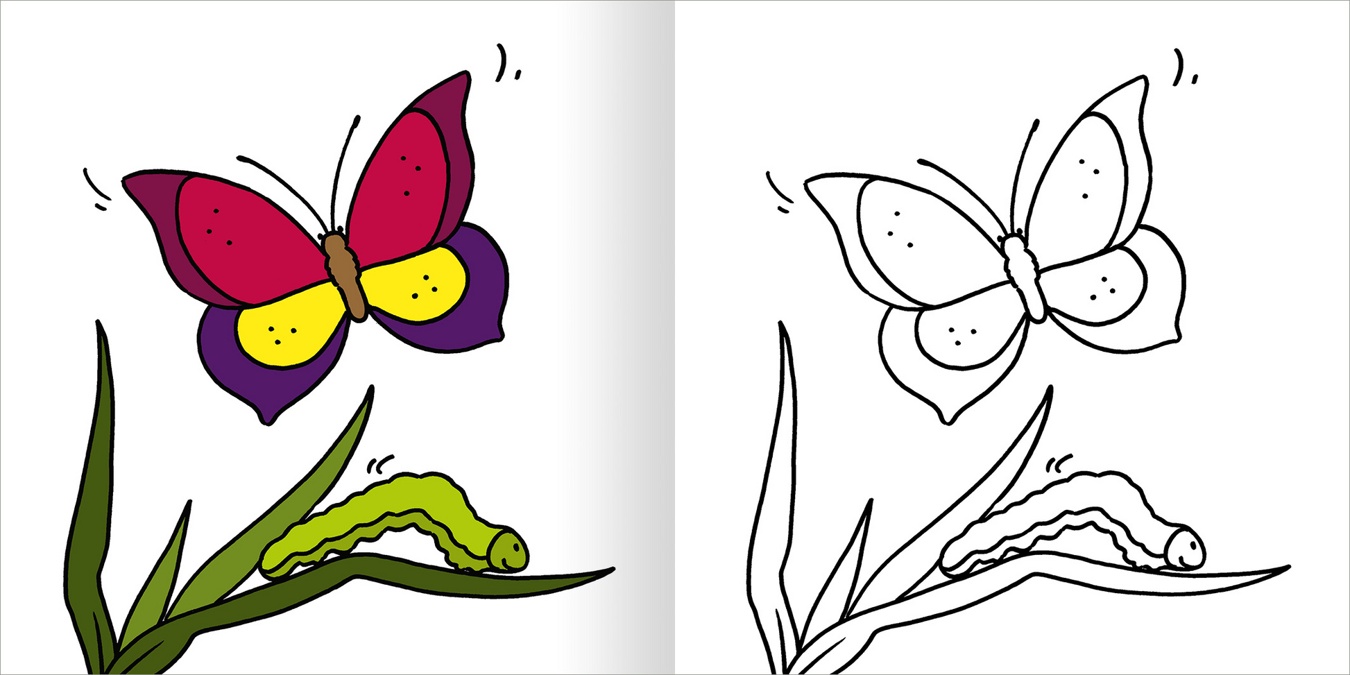 Auf der Innenseite des Buches „Mein erstes dickes Malbuch ab 2 – Frühling“ ist eine farbenfrohe Darstellung eines Schmetterlings und einer Raupe zu sehen. Der Schmetterling ist rot, lila und gelb gefärbt und sitzt auf grünen Pflanzen. Rechts ist eine schwarz-weiße, umrandete Version des Schmetterlings angelegt, die zum Ausmalen einlädt. Die Darstellung ist einfach und freundlich gestaltet, um kleinen Kindern zu gefallen und ihre Kreativität anzuregen.