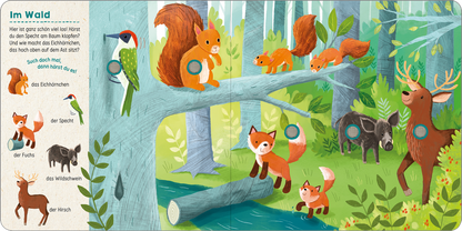 Gezeigt wird eine Innen- oder Zusatzansicht von „Such mal, hör mal! Im Wald“. Die Illustration zeigt eine lebendige Waldszene mit verschiedenen Tieren, darunter ein Eichhörnchen, ein Specht, ein Fuchs, ein Wildschwein und ein Hirsch. Bunte Farben wie Grün, Braun und Orange dominieren das Bild. Auf der linken Seite sind beschreibende Texte für die Tiere in klarer, serifenloser Typografie angeordnet, die übersichtlich und gut lesbar gestaltet sind.