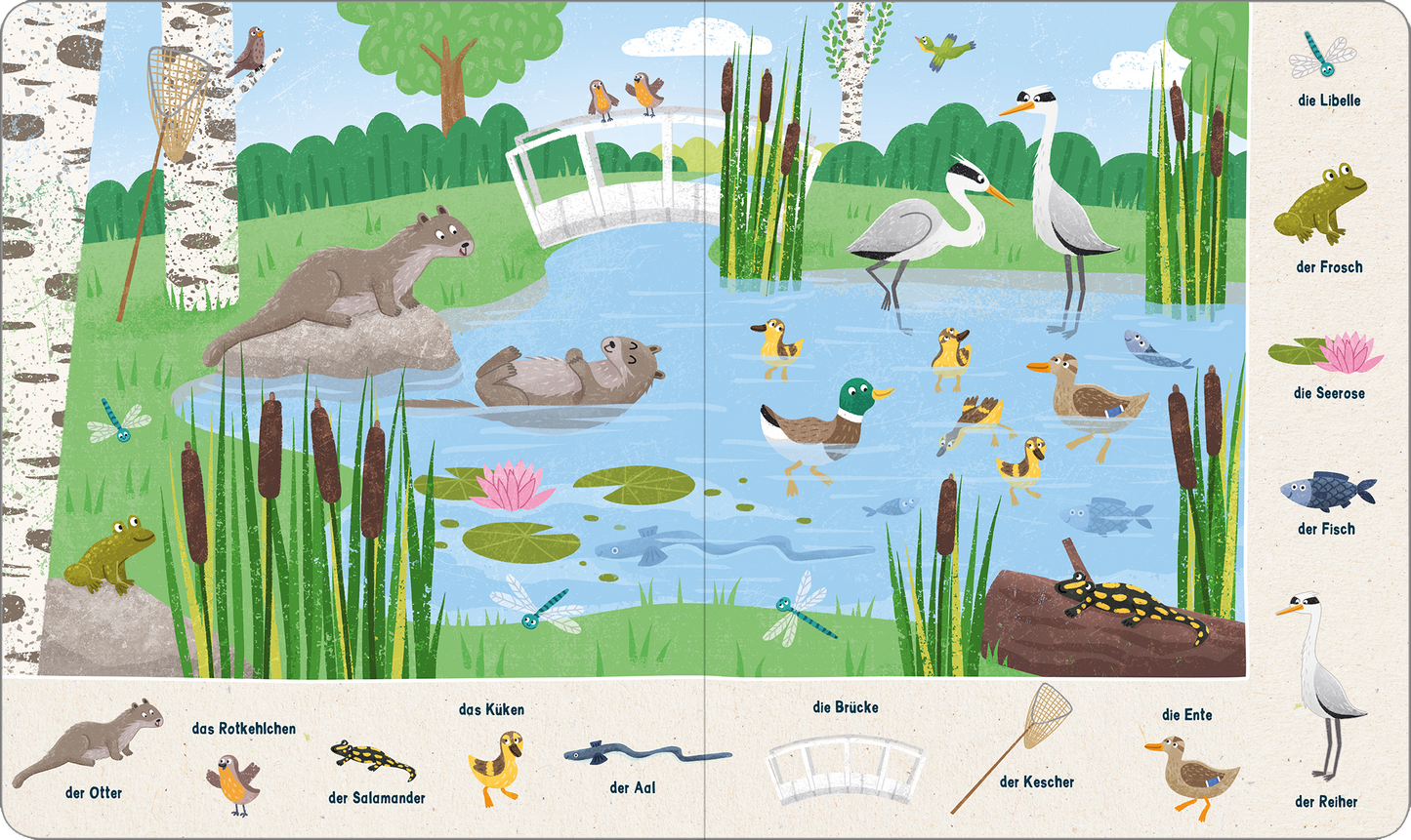 Gezeigt wird eine Innen- oder Zusatzansicht von „Mein 100 Sachen-Suchbuch – Bei den Tieren“. Die farbenfrohe Darstellung zeigt einen Gewässerbereich mit verschiedenen Tieren, darunter Otter, Frösche und Vögel, umgeben von grünen Pflanzen und Bäumen. Eine brückenartige Struktur durchquert die Szenerie, während zahlreiche kleine Details wie Insekten und Fische in lebendigen Farben hervorgehoben werden. Die Typografie mit kindgerechten Schriftzügen ist klar und gut lesbar, ergänzt...