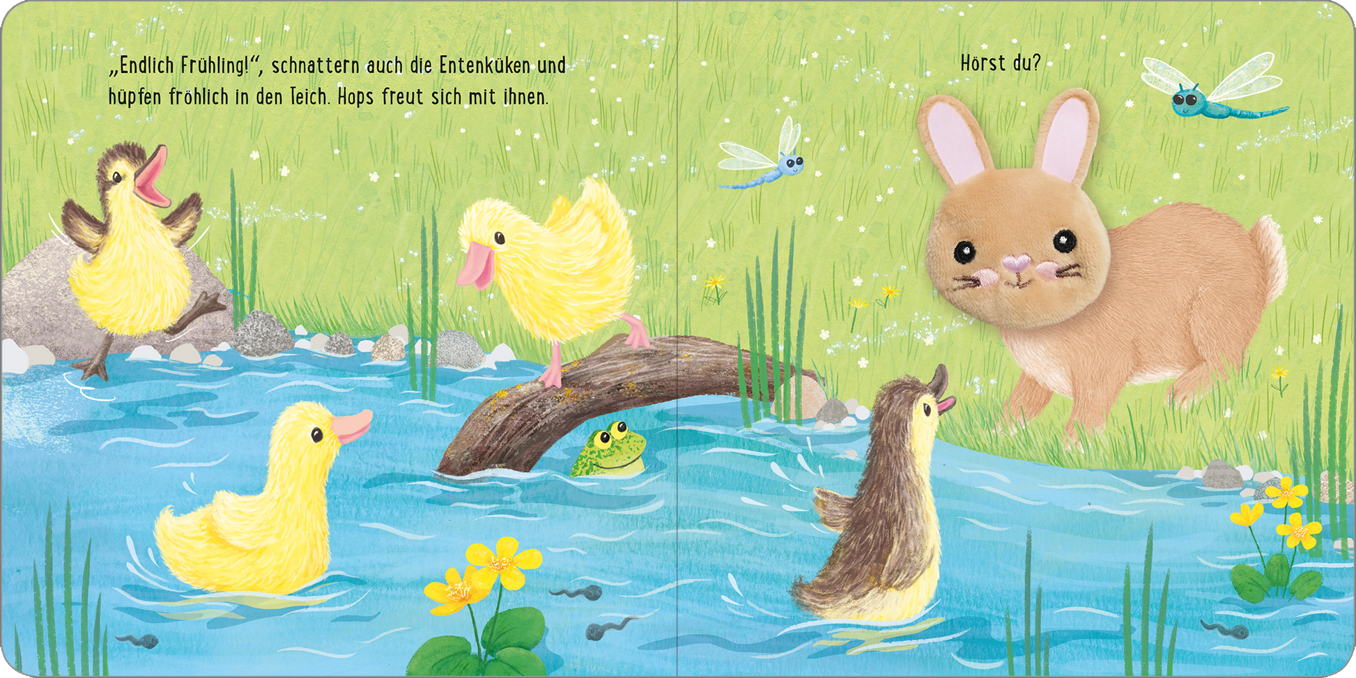 Gezeigt wird eine Innen- oder Zusatzansicht von „Meine sprechende Fingerpuppe: Hops Hase“. Die Illustration zeigt eine fröhliche Frühlingsszene mit einem grünen Hintergrund. Im Vordergrund sind mehrere gelbe Entenküken, die am Wasser spielen, während ein braunes Häschen mit großen Augen auf einer Wiese sitzt. Auf der linken Seite ist ein dichtes Blättermeer mit grünen Gräsern und bunten Blumen. Die Typografie ist freundlich und verspielt, mit handgeschriebenen Texten, die die...