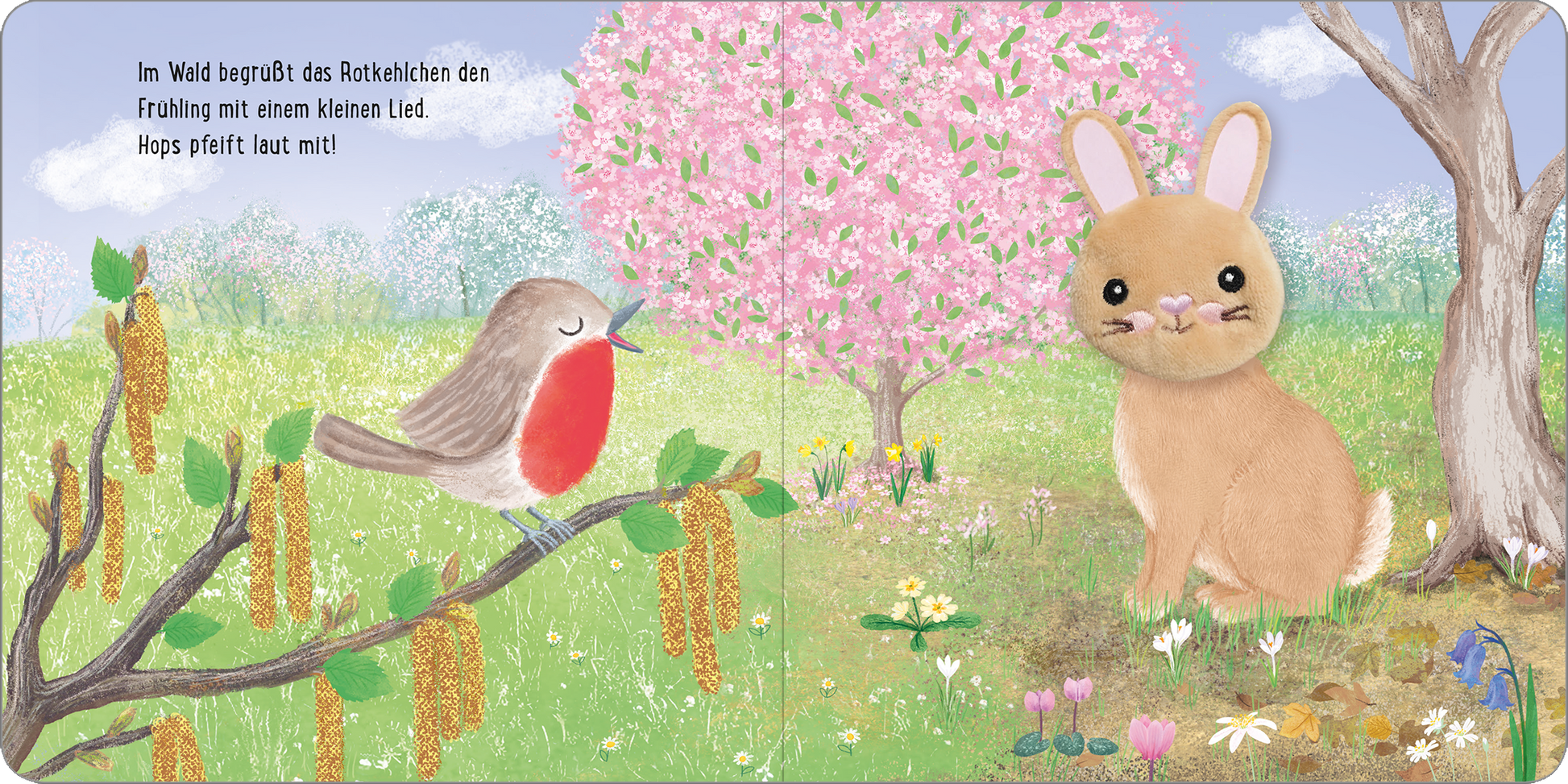 Gezeigt wird eine Innen- oder Zusatzansicht von „Meine sprechende Fingerpuppe: Hops Hase“. Die Illustration zeigt eine fröhliche Frühlingsszene mit einem braunen Hase auf der rechten Seite und einem roten Rotkehlchen auf der linken Seite. Umgeben sind sie von bunten Blumen und einem rosa blühenden Baum im Hintergrund. Der Himmel ist blau mit sanften Wolken, und die Typografie ist freundlich und verspielt, passend zur kindgerechten Gestaltung.