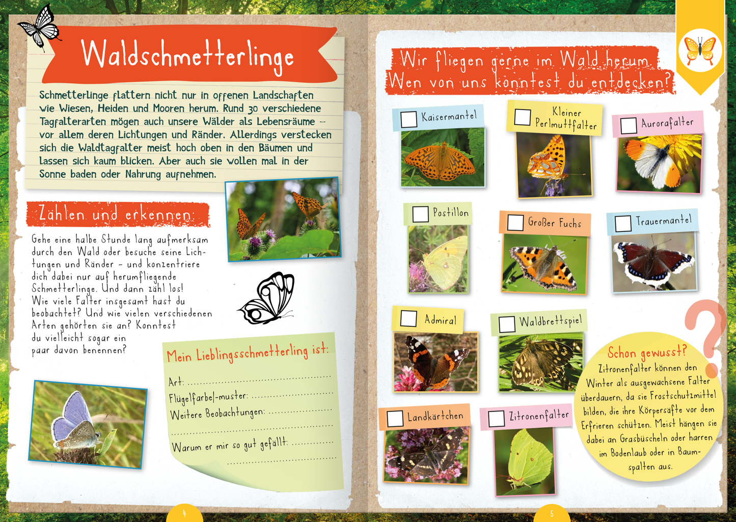 Gezeigt wird eine Innen- oder Zusatzansicht von „Naturforscher-Kids – Mitmachbuch im Wald“. Die Doppelseite präsentiert eine bunte, kinderfreundliche Gestaltung mit handschriftlich wirkenden Texten. Links wird das Thema „Waldschmetterlinge“ behandelt, mit Bildern von verschiedenen Schmetterlingen und Platz für eigene Notizen. Rechts sind zahlreiche Schmetterlingsarten abgebildet, die klar beschriftet sind. Die Farbpalette umfasst warme, natürliche Töne, die die Themen Natur und...
