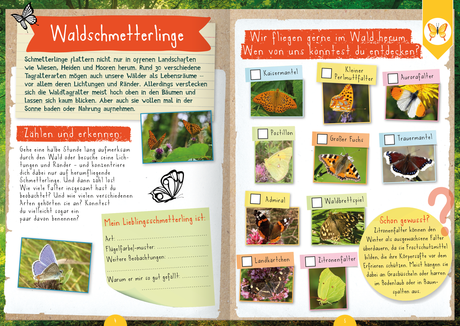 Gezeigt wird eine Innen- oder Zusatzansicht von „Naturforscher-Kids – Mitmachbuch im Wald“. Die Doppelseite präsentiert eine bunte, kinderfreundliche Gestaltung mit handschriftlich wirkenden Texten. Links wird das Thema „Waldschmetterlinge“ behandelt, mit Bildern von verschiedenen Schmetterlingen und Platz für eigene Notizen. Rechts sind zahlreiche Schmetterlingsarten abgebildet, die klar beschriftet sind. Die Farbpalette umfasst warme, natürliche Töne, die die Themen Natur und...