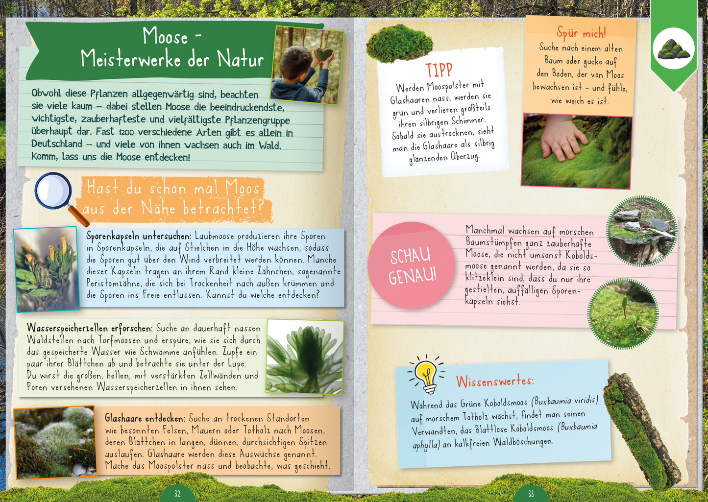 Gezeigt wird eine Innen- oder Zusatzansicht von „Naturforscher-Kids – Mitmachbuch im Wald“.
