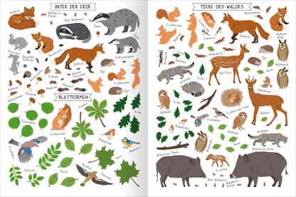 Gezeigt wird eine Innen- oder Zusatzansicht von „Naturforscher-Kids – Stickerheft Bäume“. Die Seite ist in zwei Abschnitte unterteilt: links sind Tiere und Pflanzen „Unter der Erde“ abgebildet, rechts „Tiere des Waldes“. Die Illustrationen zeigen Tiere in freundlichen Farben wie Braun, Grau und Grün, ergänzt durch grüne Blätter. Die Typografie ist klar und kindgerecht, mit handschriftlichen Beschriftungen der dargestellten Tiere und Pflanzen, die deren Namen hervorheben.