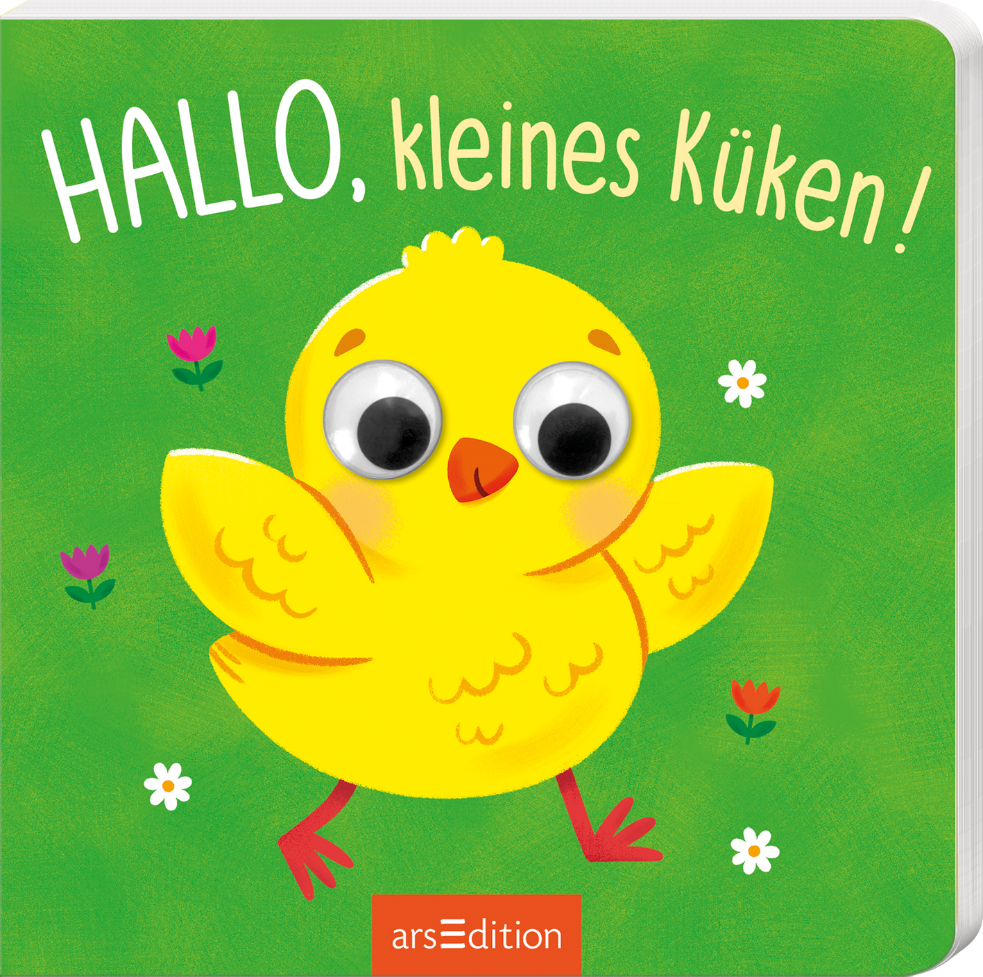 Das Buchcover zeigt ein fröhliches, gelbes Küken mit großen, auffälligen Augen auf einem einladenden, grünen Hintergrund. Der Titel „HALLO, kleines Küken!“ ist in verspielter, weißer Schrift oben auf dem Cover platziert. Abgerundet wird das Bild durch kleine, bunte Blumen, die im Vordergrund sprießen. Ganz unten mittig steht der Logoschriftzug von arsEdition.