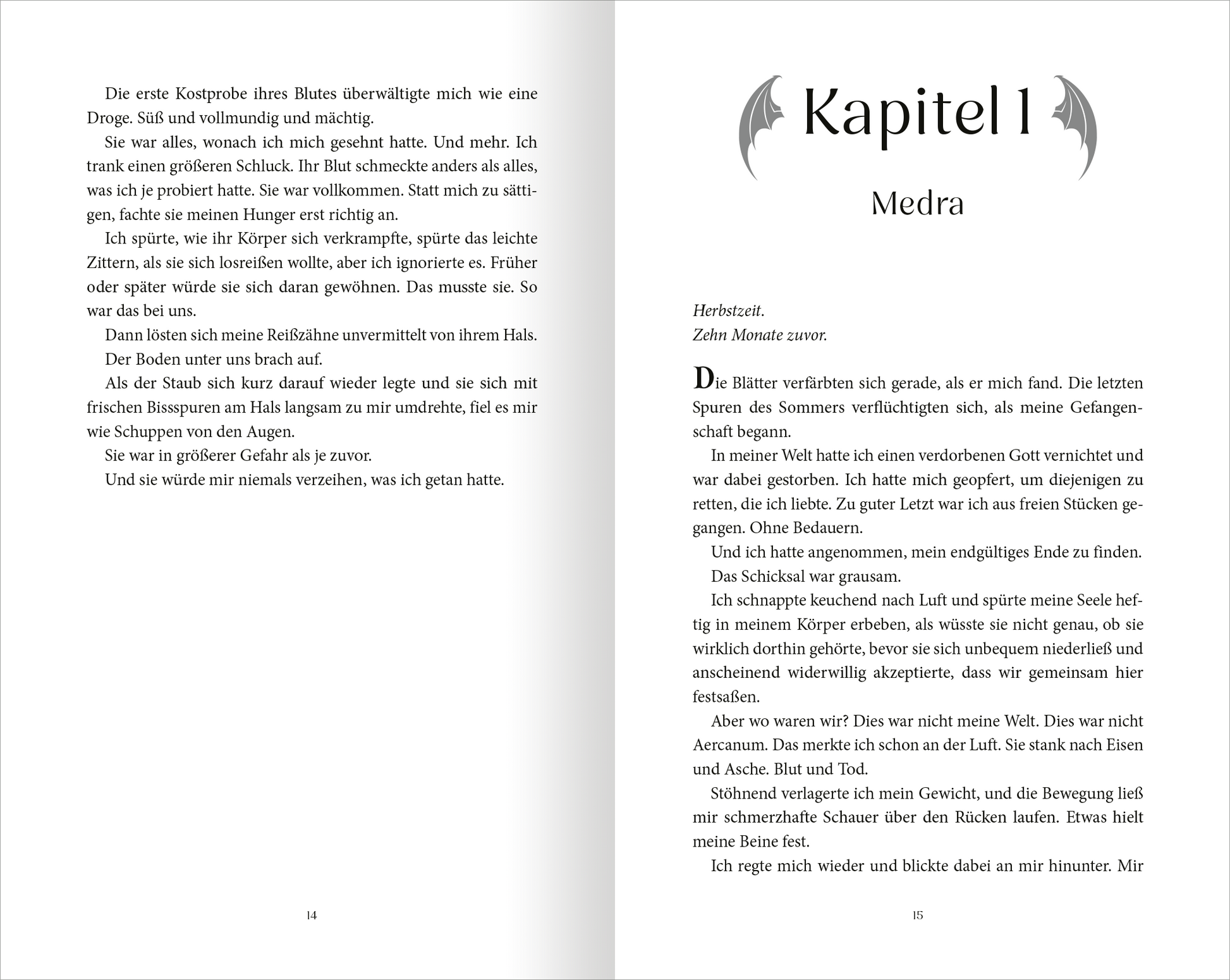 Gezeigt wird eine Innen- oder Zusatzansicht von „On Wings of Blood“.