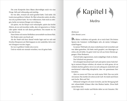 Gezeigt wird eine Innen- oder Zusatzansicht von „On Wings of Blood“.