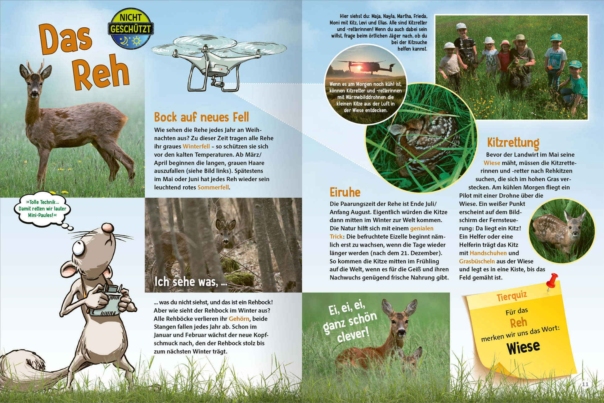Gezeigt wird eine Innen- oder Zusatzansicht von „Unsere Wälder“. Die Doppelseite präsentiert auf der linken Seite das Bild eines Rehs in einer natürlichen Umgebung. Daneben steht der Titel „Das Reh“ in großer, klarer Schrift. Rechts sind informative Textblöcke in bunten, ansprechenden Kästen angeordnet. Die Farben sind überwiegend grün und blau, was die Waldthematik unterstreicht. Illustrative Elemente und eine freundliche Typografie machen die Darstellung einladend und leicht...