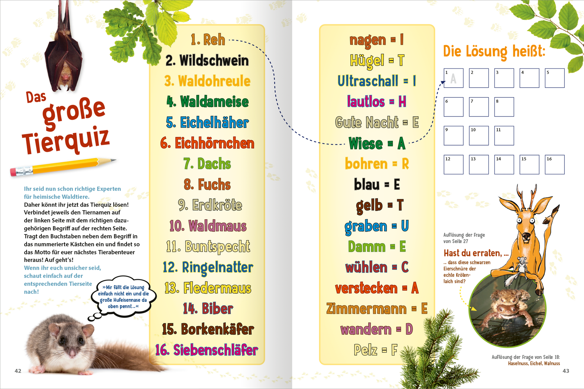 Gezeigt wird eine Innenansicht von „Unsere Wälder“. Auf der Doppelseite befindet sich ein Tierquiz mit bunten Zahlen und Illustrationen, die verschiedene Tiere darstellen. Der Hintergrund ist hellgrün mit pflanzlichen Elementen, was die Verbindung zur Natur unterstreicht. Die Schrift ist klar und gut lesbar, die Fragen sind in mehreren Farben hervorgehoben. Auf der rechten Seite sind zusätzliche Lücken für die Lösungen zu finden, um das Quiz interaktiv zu gestalten.