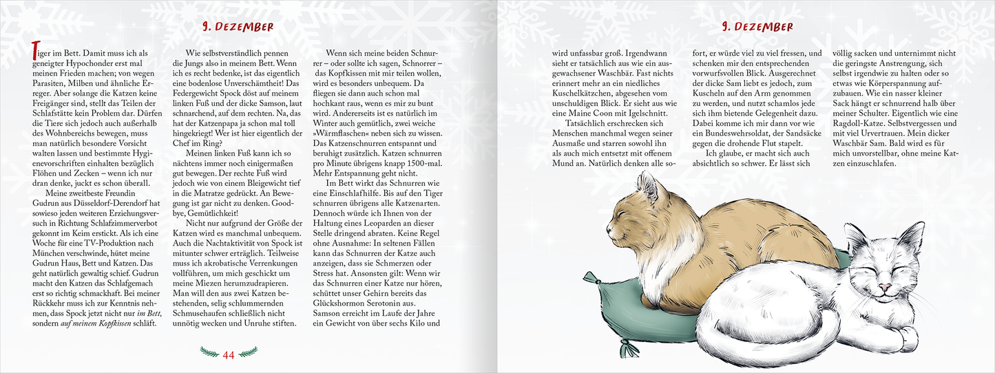 Gezeigt wird eine Innen- oder Zusatzansicht von „Pfoten vom Tannenbaum“.