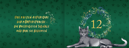 Gezeigt wird eine Innen- oder Zusatzansicht von „Pfoten vom Tannenbaum“.