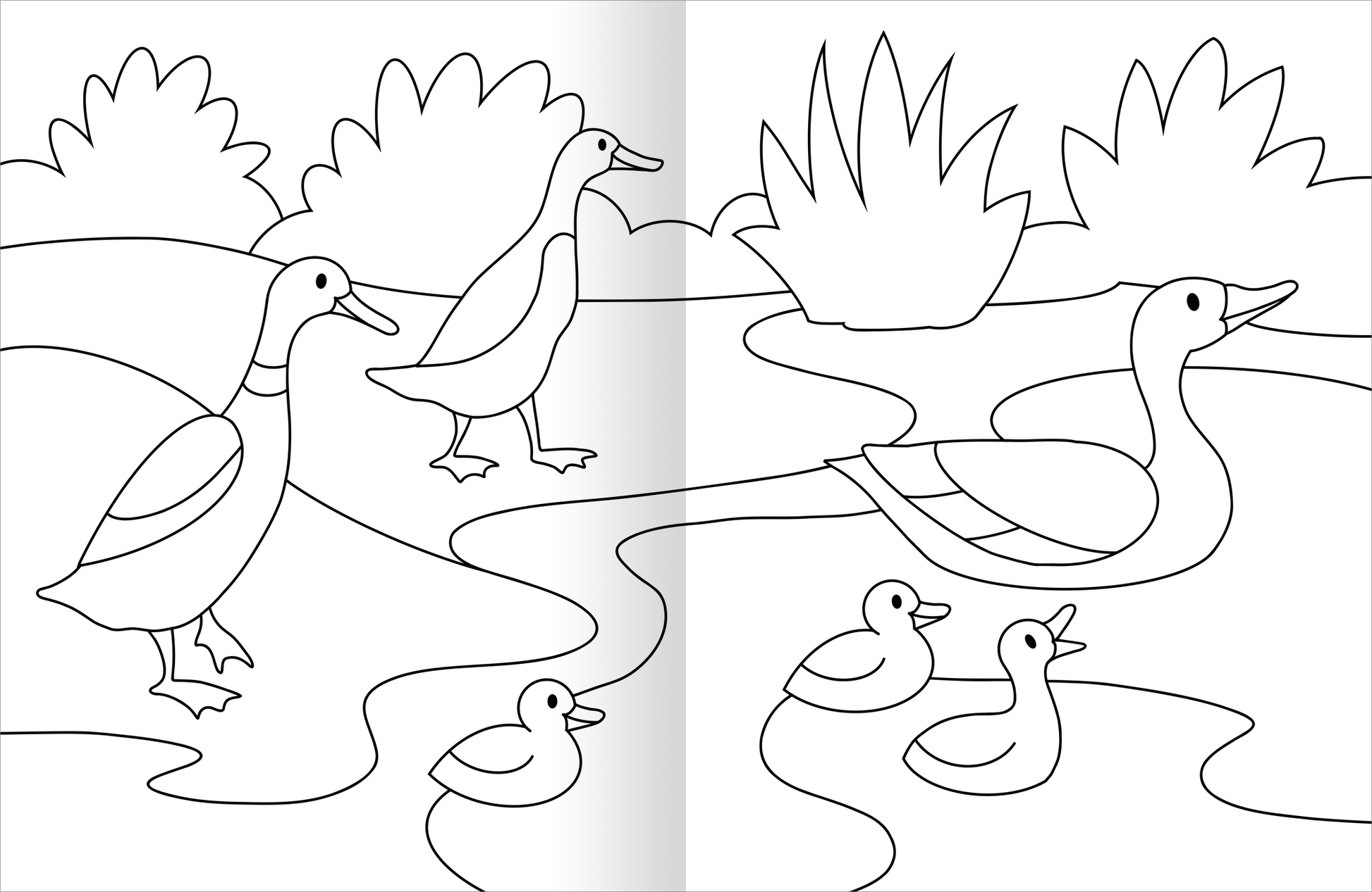 Gezeigt wird eine Innen- oder Zusatzansicht von „Malbuch Tiere“. Die Abbildung zeigt eine weiße Seite mit verschiedenen Enten, die um einen kleinen Teich schwimmen. Im Vordergrund sind mehrere Entenküken dargestellt, während im Hintergrund die Erhöhungen von Gestrüpp und Büschen sichtbar sind. Die Illustrationen sind in klaren, schwarzen Linien gehalten, die darauf warten, mit Farben ausgefüllt zu werden. Die Gesamtkomposition wirkt freundlich und einladend für Kinder.