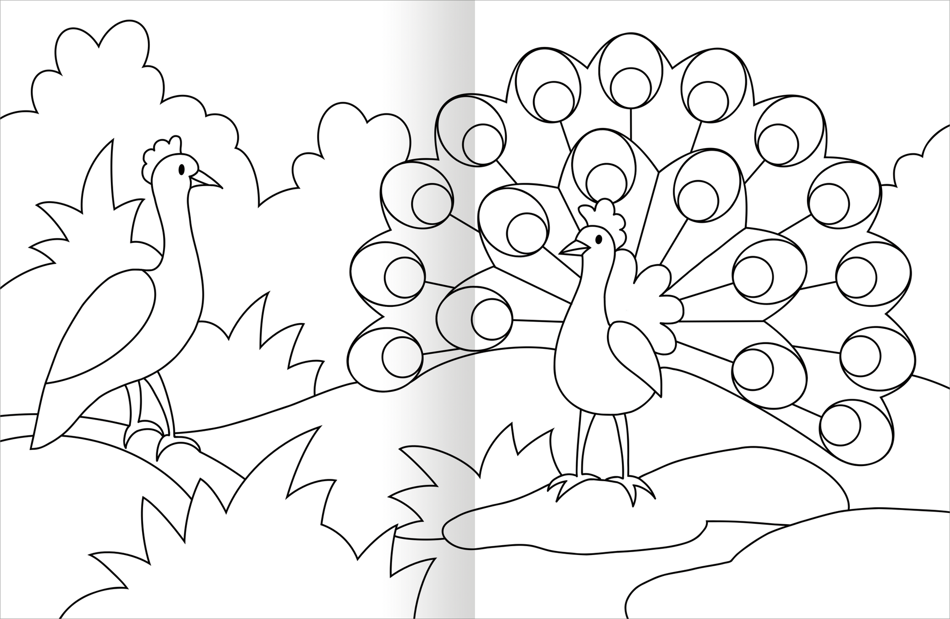 Gezeigt wird eine Innen- oder Zusatzansicht von „Malbuch Tiere“. Das Bild zeigt zwei Vögel in einer natürlichen Umgebung, umgeben von hügeligen Landschaften und Pflanzen. Der Pfau stolziert aufrecht mit einem fächerförmigen Schwanz, während ein anderer Vogel in der linken unteren Ecke positioniert ist. Die Konturen sind klar und dick, bereit zum Ausmalen. Die Gestaltung ist einfach, in Schwarz-Weiß gehalten, was zu kreativen Farbgestaltungen anregt.