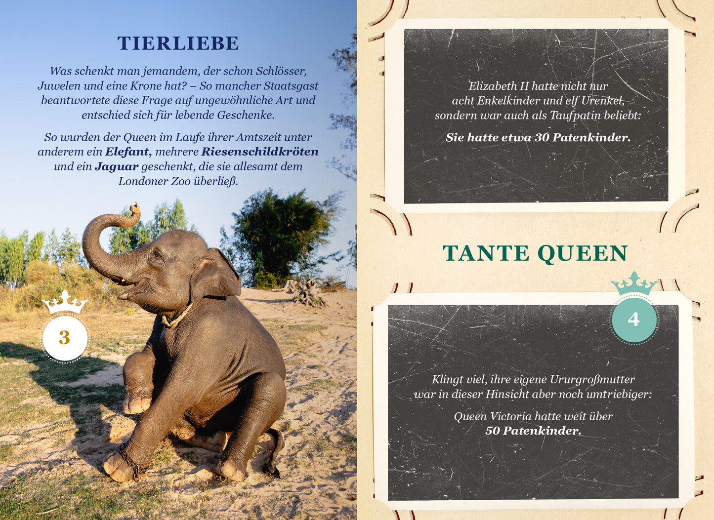 Gezeigt wird eine Innen- oder Zusatzansicht von „God Save THE QUEEN“. Die Seite ist farbenfroh gestaltet und enthält zwei Abschnitte. Links ist ein Bild eines Elefanten zu sehen, begleitet von einer blauen Überschrift „TIERLIEBE“. Rechts steht die Überschrift „TANTE QUEEN“ auf einem schwarzen Hintergrund, darunter sind Textkästen mit historischen Informationen. Die Typografie ist abwechslungsreich, die Schriftzüge vermitteln Eleganz und sind gut lesbar.