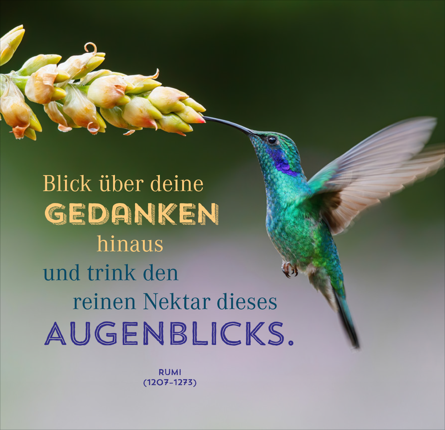 Gezeigt wird eine Innen- oder Zusatzansicht von „Nimm dir Zeit für Achtsamkeit“. Die Darstellung zeigt einen Kolibri, der an einer blühenden Pflanze schwebt. Der Text ist in verschiedenen Schriftgrößen und -farben gestaltet: „Blick über deine GEDANKEN hinaus“ ist in einem sanften Gelbton, „und trink den reinen Nektar dieses AUGENBLICKS.“ in einem kräftigen Blau. Die Farbpalette ist harmonisch und vermittelt eine beruhigende Atmosphäre.
