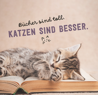 Gezeigt wird eine Innen- oder Zusatzansicht von „Donʼt hurry, be Kitty!“. Im Vordergrund liegt eine schlafende, orangefarbene Katze auf einem roten Herzkissen. Der Hintergrund ist in sanften Blautönen gehalten. Über der Katze steht in zwei Schriftarten der Spruch „ICH BIN NICHT FAUL, ich spare Energie.“ In der oberen Zeile sind die Buchstaben in kräftigem Rot und in einer klaren, verspielten Schriftart, während die untere Zeile in eleganter, geschwungener Schrift gestaltet ist.