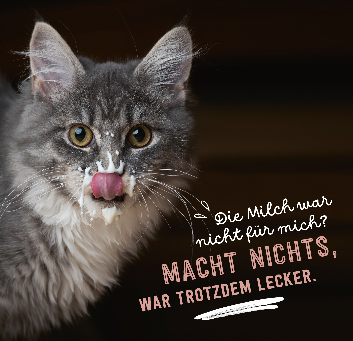 Gezeigt wird eine Innen- oder Zusatzansicht von „Donʼt hurry, be Kitty!“. Im Vordergrund ist eine neugierige, gestreifte Katze zu sehen, die an einer hellen Wand hängt. Über ihrem Kopf steht in spielerischer, blauer Schrift: „Wenn dich mal wieder jemand hängen lässt:“. Darunter hebt sich in robusten, weißen Buchstaben der Schriftzug „EINFACH WEITER MACHEN.“ ab, begleitet von einem Pfotenabdruck. Die Bildgestaltung kombiniert sanfte Farben mit einer positiven Botschaft.