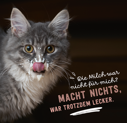 Gezeigt wird eine Innen- oder Zusatzansicht von „Donʼt hurry, be Kitty!“. Im Vordergrund ist eine neugierige, gestreifte Katze zu sehen, die an einer hellen Wand hängt. Über ihrem Kopf steht in spielerischer, blauer Schrift: „Wenn dich mal wieder jemand hängen lässt:“. Darunter hebt sich in robusten, weißen Buchstaben der Schriftzug „EINFACH WEITER MACHEN.“ ab, begleitet von einem Pfotenabdruck. Die Bildgestaltung kombiniert sanfte Farben mit einer positiven Botschaft.