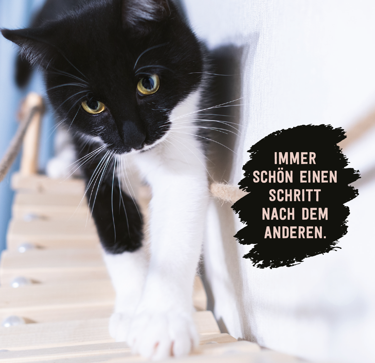 Gezeigt wird eine Innen- oder Zusatzansicht von „Donʼt hurry, be Kitty!“. Auf einem hellen, sanften Hintergrund ist eine grau-weiß gefleckte Katze zu sehen, die neugierig eine kleine Geschenkschachtel untersucht. Über der Katze steht der Schriftzug „KLEINE GESCHENKE“ in einer verspielten, lila Schriftfarbe, gefolgt von „erhalten die Freundschaft.“ in einer eleganten, geschwungenen Schrift. Die Szenerie vermittelt ein freundliches und einladendes Gefühl.
