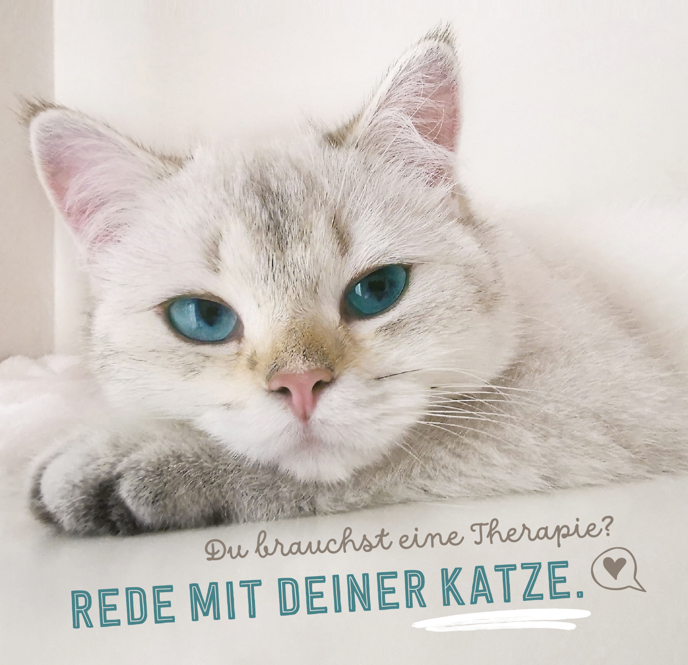 Gezeigt wird eine Innen- oder Zusatzansicht von „Donʼt hurry, be Kitty!“. Im Vordergrund ist eine grau-weiße Katze mit einem schaumigen Milchbrei um die Schnauze zu sehen, die mit der Zunge schleckt. Der Hintergrund ist unscharf gehalten, wodurch die Katze hervorsticht. Die Schrift ist verspielt und in verschiedenen Größen gestaltet: Die obere Textzeile in geschwungener Schrift, während „Macht nichts“ groß und fett in einem auffälligen Farbton erscheint. Ein kleiner Pfotenabdruck...