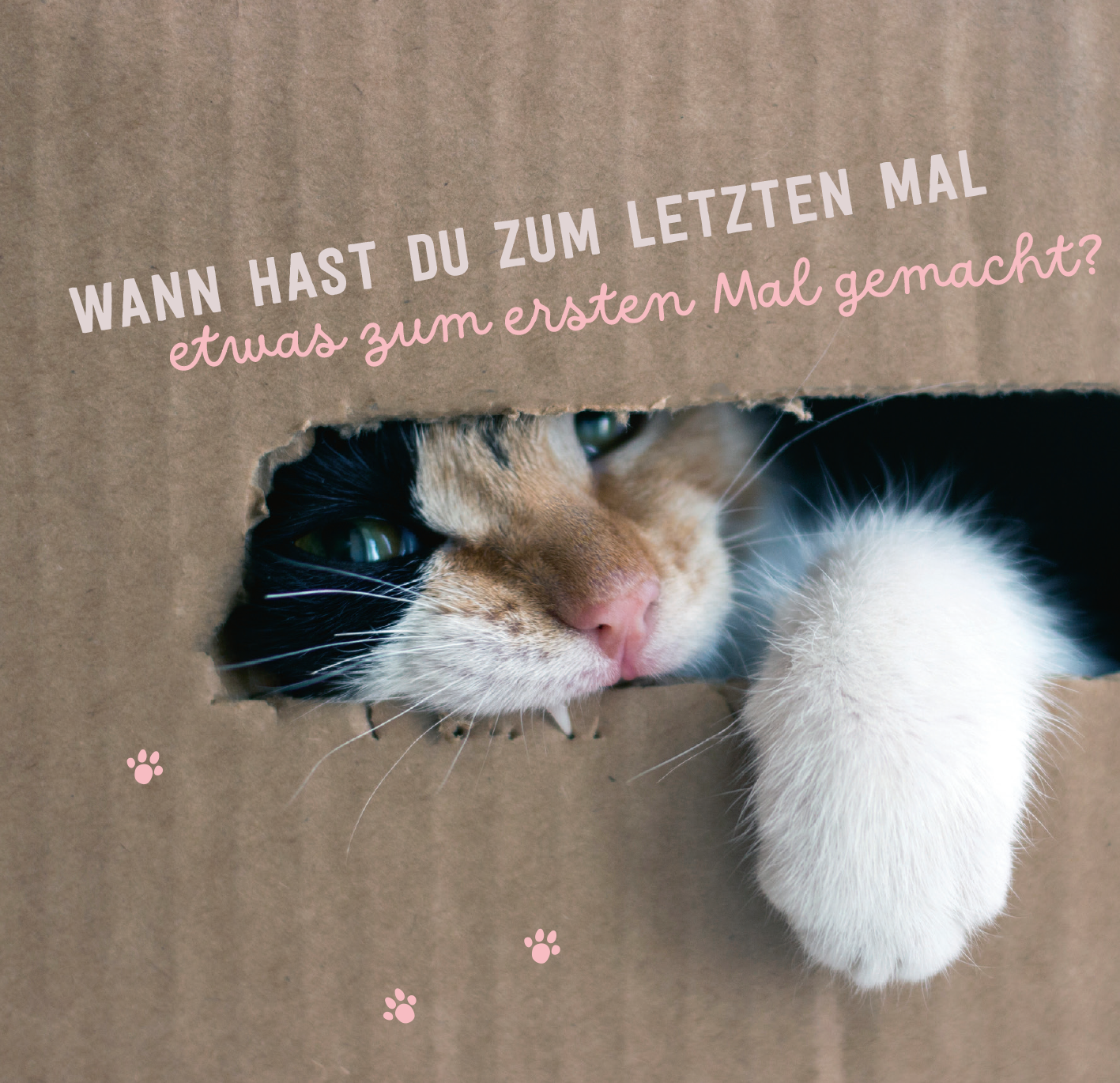 Gezeigt wird eine Innen- oder Zusatzansicht von „Donʼt hurry, be Kitty!“. Im Vordergrund ist eine schwarze Katze mit weißen Abzeichen zu sehen, die neugierig über eine Fläche schreitet. Die sanften Farben des Hintergrunds schaffen eine ruhige Atmosphäre. Rechts der Katze befindet sich ein handschriftlich gestalteter Spruch in dunkler Schrift auf hellem Hintergrund, der den Text „IMMER SCHÖN EINEN SCHRITT NACH DEM ANDEREN.“ zeigt.