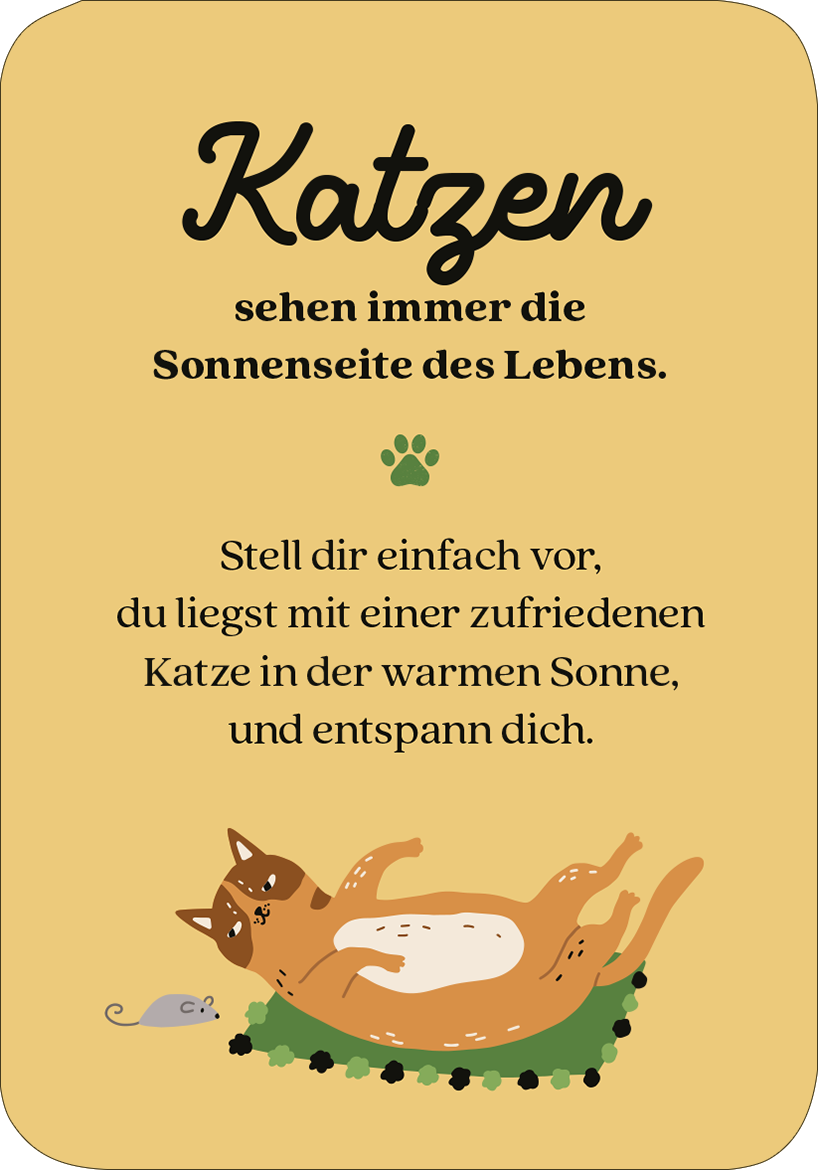Gezeigt wird eine Innen- oder Zusatzansicht von „MIEZNachrichten für jede Lebenslage“. Die Seite hat einen warmen, gelben Hintergrund und zeigt den Titel „Katzen“ in verspielter, schwarzer Schrift. Darunter befindet sich ein kurzer Text zur Entspannung mit einer Illustration einer entspannten Katze, die auf dem Rücken liegt. Ein kleiner Maus-Symbol ergänzt die Gestaltung. Die Typografie ist freundlich und einladend, passend zum Thema der Lebensfreude.