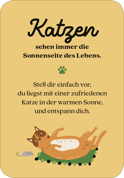 Gezeigt wird eine Innen- oder Zusatzansicht von „MIEZNachrichten für jede Lebenslage“. Die Seite hat einen warmen, gelben Hintergrund und zeigt den Titel „Katzen“ in verspielter, schwarzer Schrift. Darunter befindet sich ein kurzer Text zur Entspannung mit einer Illustration einer entspannten Katze, die auf dem Rücken liegt. Ein kleiner Maus-Symbol ergänzt die Gestaltung. Die Typografie ist freundlich und einladend, passend zum Thema der Lebensfreude.