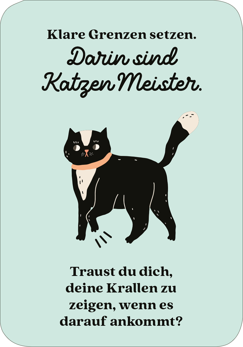 Gezeigt wird eine Innen- oder Zusatzansicht von „MIEZNachrichten für jede Lebenslage“. Die Illustration zeigt eine Katze mit einem Partyhut, die sich entspannt streckt. Die Hintergrundfarbe ist ein sanftes Orange. Über der Katze steht in verspielter Schrift: „Wie man das Leben wild feiert und es so richtig krachen lässt, das weiß jede Katze.“ Darunter steht die Frage: „Und wann hast du zuletzt so richtig Spaß gehabt?“ in einer bolderen, leicht verschnörkelten Schrift.