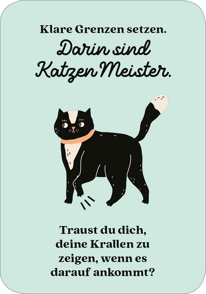Gezeigt wird eine Innen- oder Zusatzansicht von „MIEZNachrichten für jede Lebenslage“. Die Illustration zeigt eine Katze mit einem Partyhut, die sich entspannt streckt. Die Hintergrundfarbe ist ein sanftes Orange. Über der Katze steht in verspielter Schrift: „Wie man das Leben wild feiert und es so richtig krachen lässt, das weiß jede Katze.“ Darunter steht die Frage: „Und wann hast du zuletzt so richtig Spaß gehabt?“ in einer bolderen, leicht verschnörkelten Schrift.