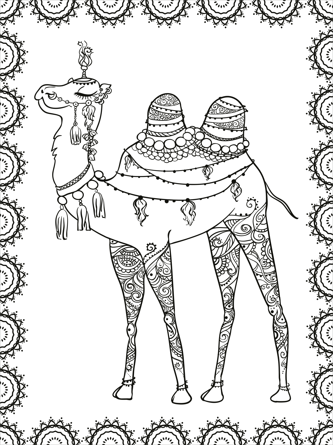Gezeigt wird eine Innen- oder Zusatzansicht von „Mein Mandala-Tier-Malbuch – Wilde Tiere“. Die Abbildung zeigt ein detailliertes, schwarz-weißes Bild eines Kamels, das reich verziert ist mit Mustern und Schmuck. Um das Kamel herum zieht sich ein eleganter, dekorativer Rahmen, der mit mandalaartigen Motiven gestaltet ist. Die Typografie ist klar und verspielt, ideal für kreative Entfaltung und Ausmalen. Die kontrastreiche Gestaltung lädt zur Gestaltung in bunten Farben ein.