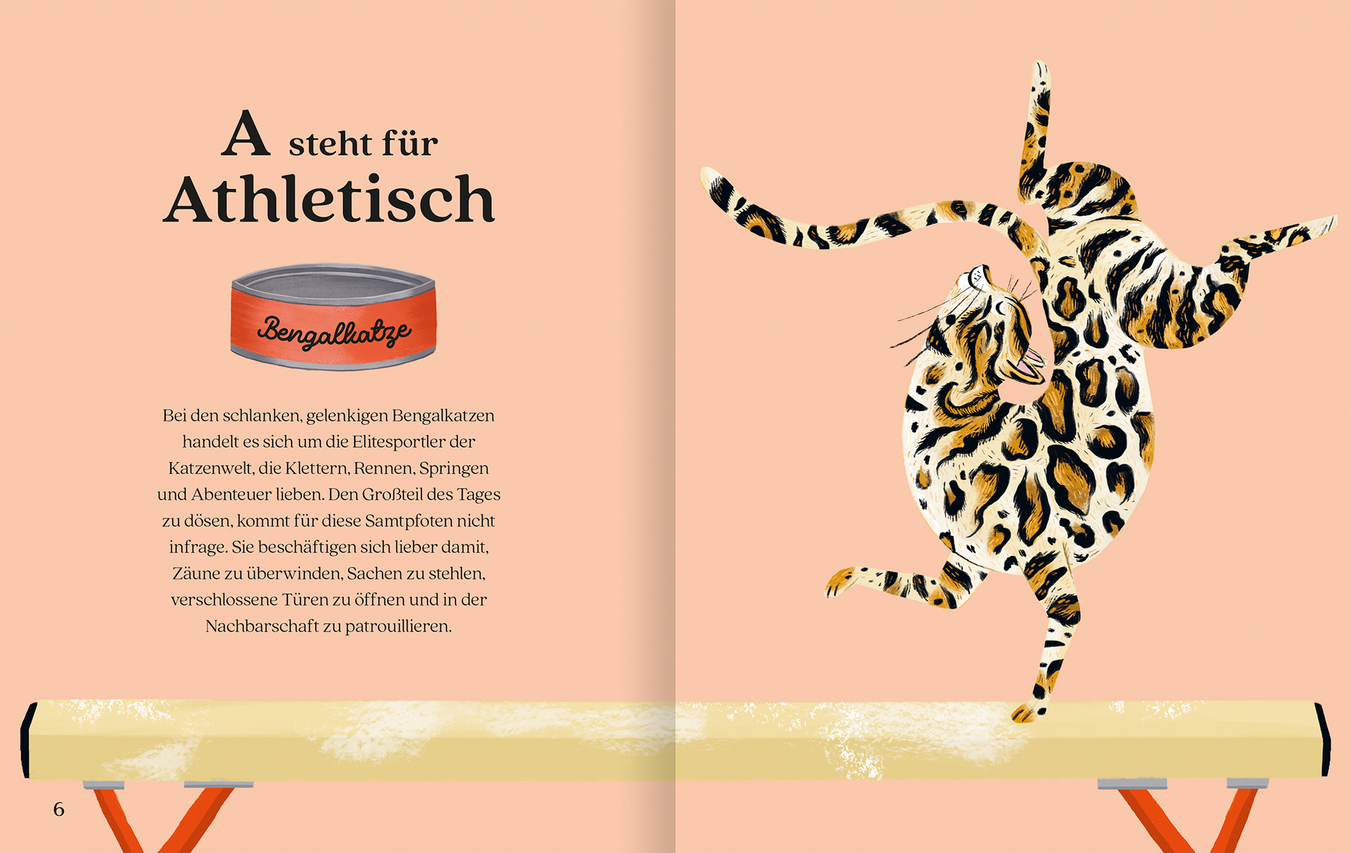 Gezeigt wird eine Innen- oder Zusatzansicht von „Katzenalphabet“. Die Seite hat einen sanften, apricotfarbenen Hintergrund. Links befindet sich eine Illustration eines Bengal-Katzen, die athletisch auf einem Sportgerät balanciert. Der Text ist in klarer, schwarz gefärbter Schrift und hebt das Wort „Athletisch“ hervor. Eine rote Dose mit der Aufschrift „Bengalataufe“ ergänzt die Darstellung und verleiht der Seite einen spielerischen Charakter. Die Kombination aus Bild und Text...
