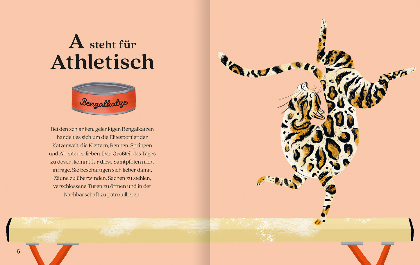 Gezeigt wird eine Innen- oder Zusatzansicht von „Katzenalphabet“. Die Seite hat einen sanften, apricotfarbenen Hintergrund. Links befindet sich eine Illustration eines Bengal-Katzen, die athletisch auf einem Sportgerät balanciert. Der Text ist in klarer, schwarz gefärbter Schrift und hebt das Wort „Athletisch“ hervor. Eine rote Dose mit der Aufschrift „Bengalataufe“ ergänzt die Darstellung und verleiht der Seite einen spielerischen Charakter. Die Kombination aus Bild und Text...