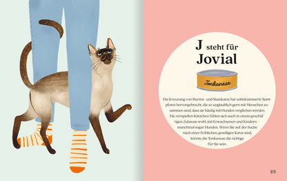 Gezeigt wird eine Innenansicht von „Katzenalphabet“. Die Abbildung zeigt einen menschlichen Unterkörper mit blauen Hosen und Socken in orange-weißen Streifen. Vor den Hosen steht eine Siamkatze mit einem neugierigen Blick. In einem großen, runden, rosa Feld wird der Buchstabe „J“ für „Jovial“ präsentiert, begleitet von einer Dose mit dem Aufdruck „Tonkanese“. Der Text ist in klarer, eleganter Schrift gehalten und erklärt die joviale Natur der beschriebenen Katzenrasse.