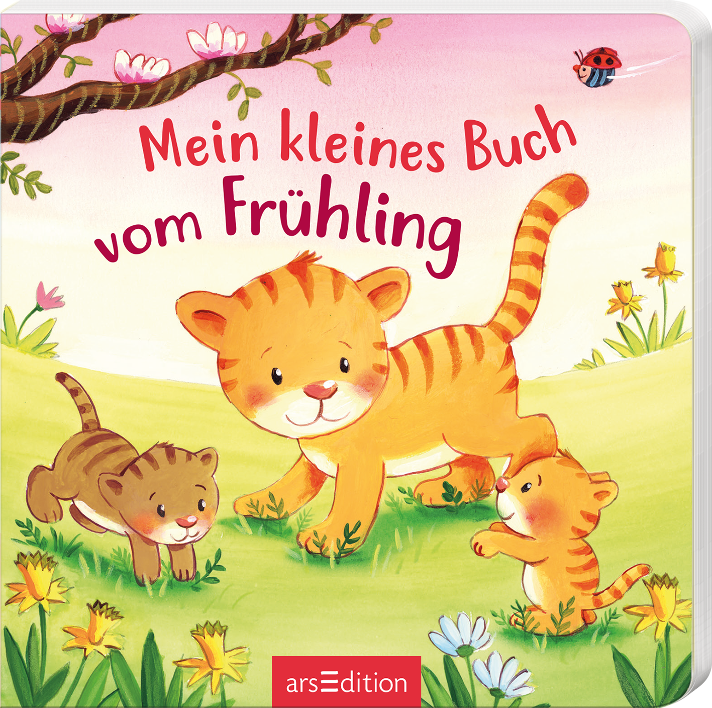 Mein kleines Buch vom Frühling
