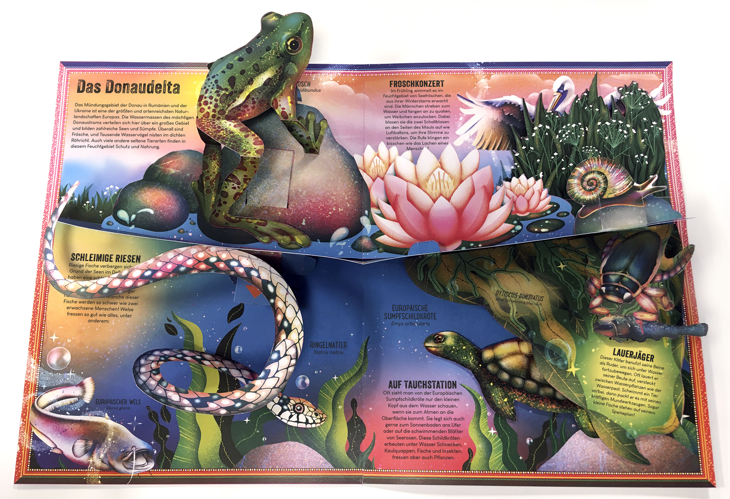 Gezeigt wird eine Innen- oder Zusatzansicht von „Das unglaubliche Pop-up-Buch – Am Wasser“. Die Darstellung zeigt lebendige Farben mit einem Fokus auf Grüntönen und verschiedenen Blauschattierungen, die die Wasseroberfläche andeuten. Pop-up-Elemente wie ein großer, gefärbter Frosch, eine Lotusblüte und Tierzeichnungen sind hervorstechend. Die Typografie ist klar und gut lesbar, mit informativen Textbereichen in gelb-orangefarbener Schrift, die die Illustrationen ergänzen.