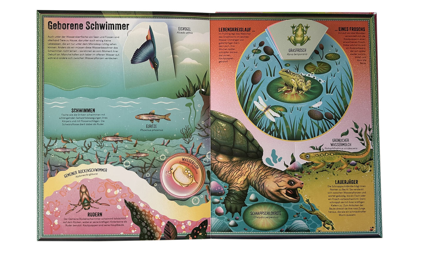 Gezeigt wird eine Innen- oder Zusatzansicht von „Das unglaubliche Pop-up-Buch – Am Wasser“.