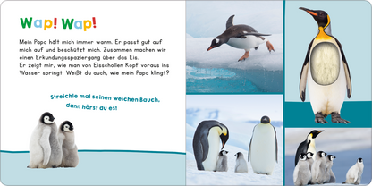 Gezeigt wird eine Innen- oder Zusatzansicht von „Hör mal rein, wer kann das sein? – Mein Papa“. Die Illustrationen zeigen niedliche Pinguine in unterschiedlichen Positionen, umgeben von einer eisigen Landschaft. Die Farben sind sanft, mit viel Blau und Weiß, die eine kalte Umgebung darstellen. Die große, verspielte Schriftart „Wap! Wap!“ zieht die Aufmerksamkeit auf sich, während der Text unterhalb in klarer, gut lesbarer Typografie gehalten ist. Visualisierungen der Pinguine...