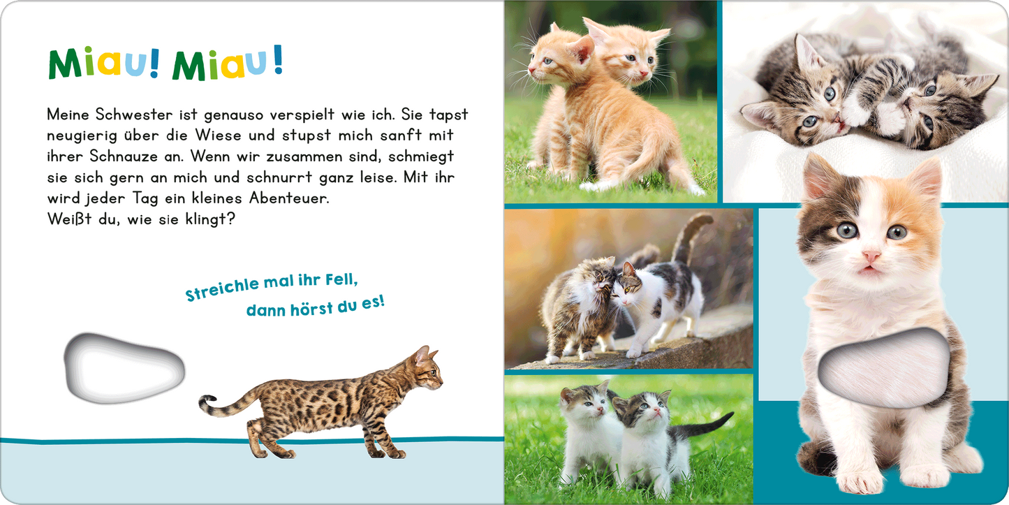 Gezeigt wird eine Innen- oder Zusatzansicht von „Hör mal rein, wer kann das sein? Meine Schwester“.