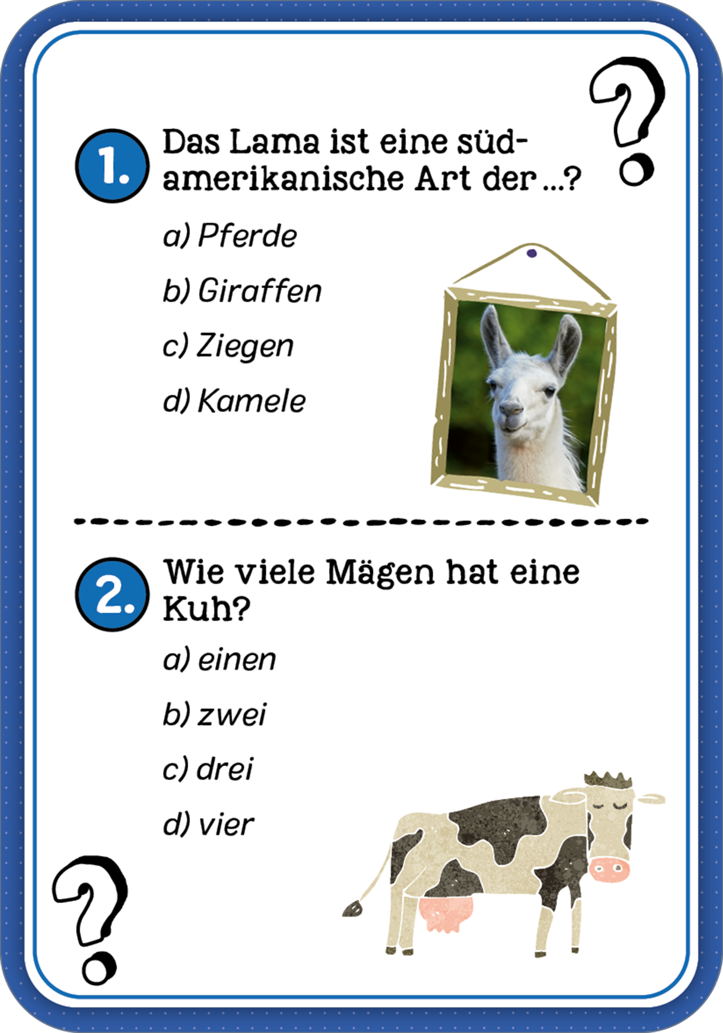 Gezeigt wird eine Innen- oder Zusatzansicht von „Das Wissens-Quiz“.