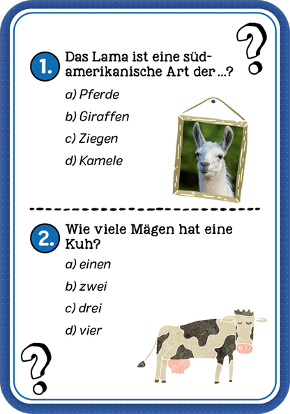 Gezeigt wird eine Innen- oder Zusatzansicht von „Das Wissens-Quiz“.