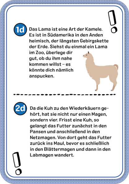 Gezeigt wird eine Innen- oder Zusatzansicht von „Das Wissens-Quiz“.