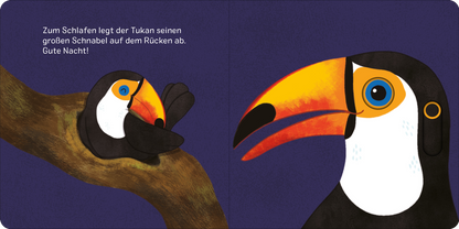 Gezeigt wird eine Innen- oder Zusatzansicht von „Augen zu und träum schön!“.