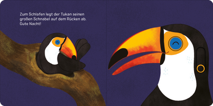 Gezeigt wird eine Innen- oder Zusatzansicht von „Augen zu und träum schön!“.