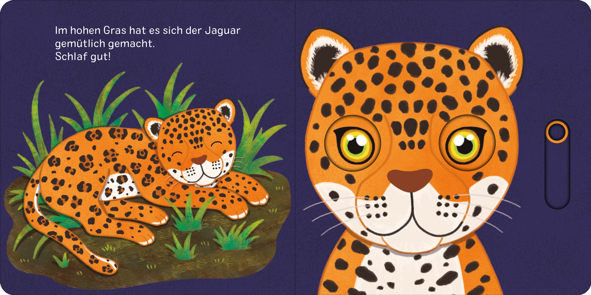 Gezeigt wird eine Innen- oder Zusatzansicht von „Augen zu und träum schön!“.