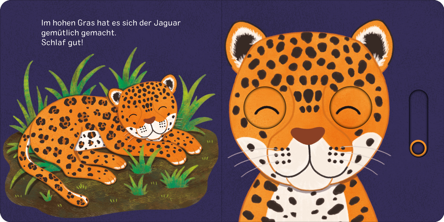 Gezeigt wird eine Innen- oder Zusatzansicht von „Augen zu und träum schön!“.