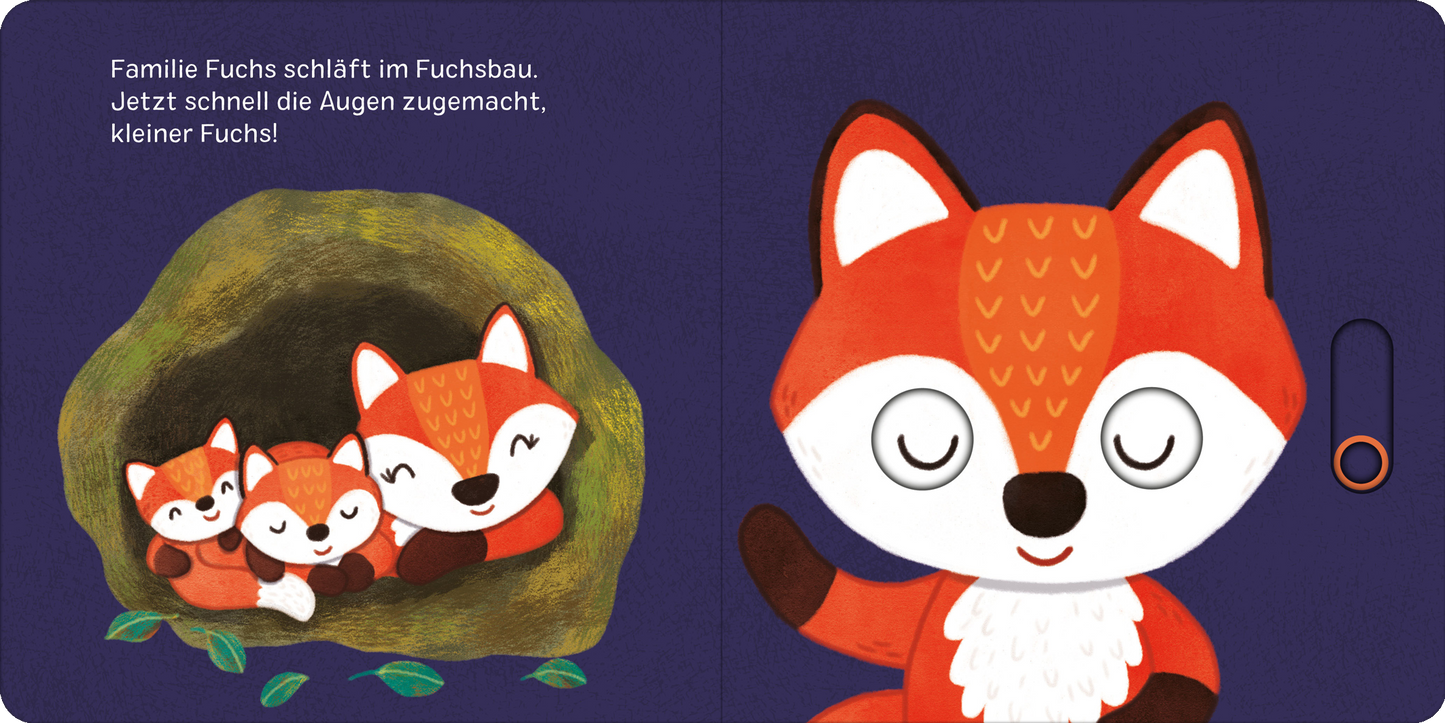 Gezeigt wird eine Innen- oder Zusatzansicht von „Augen zu und gute Nacht!“.