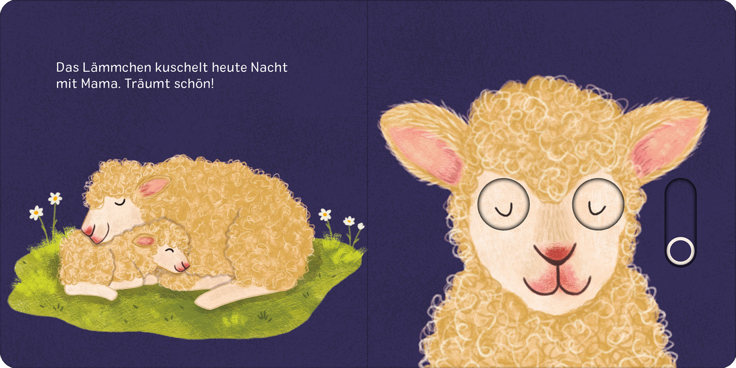 Gezeigt wird eine Innen- oder Zusatzansicht von „Augen zu und gute Nacht!“.
