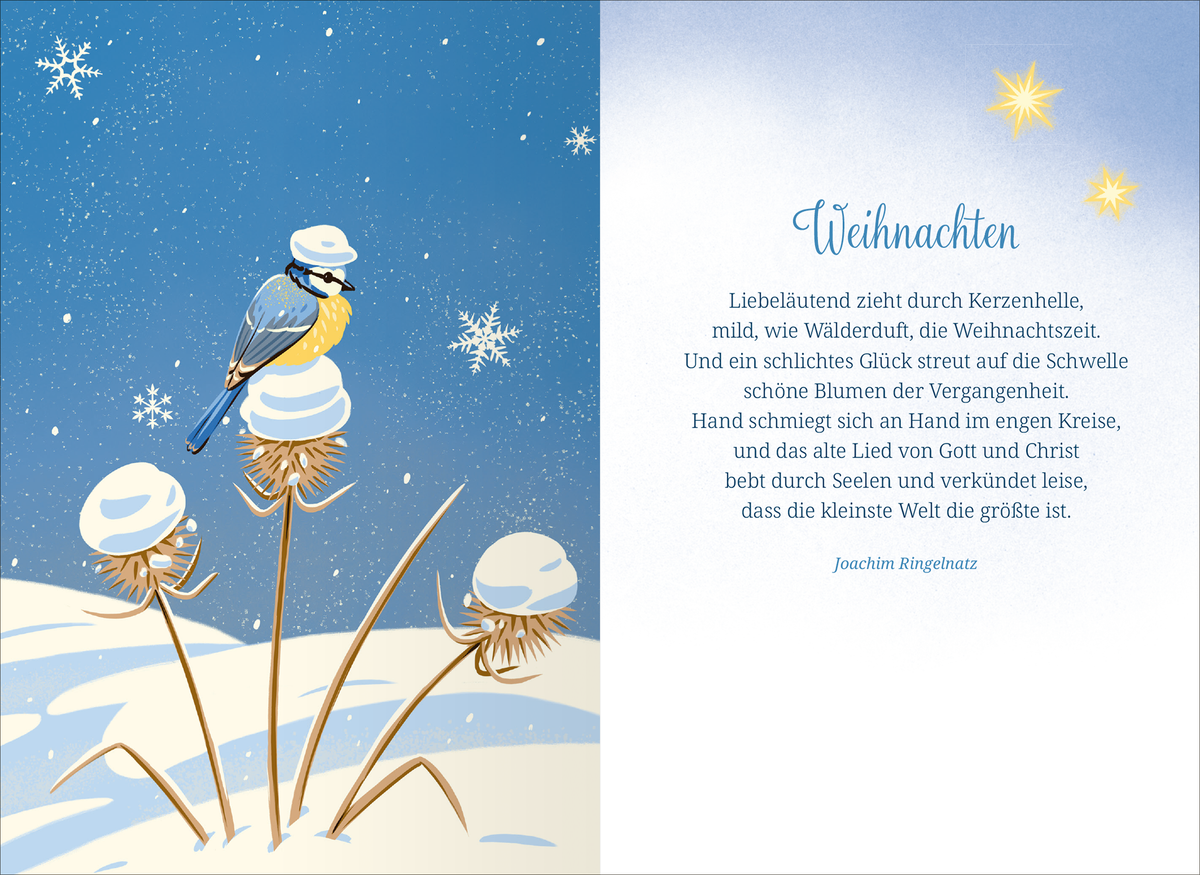 Gezeigt wird eine Innen- oder Zusatzansicht von „Winternacht und Schneegeflüster“.